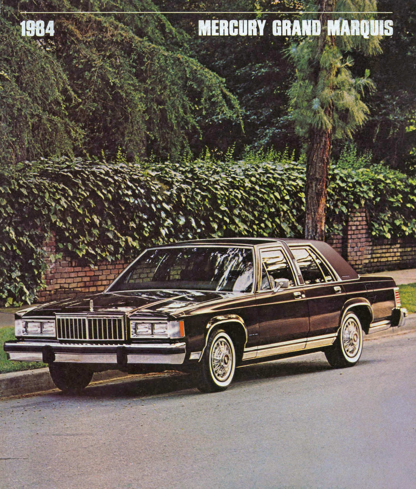 n_1984 Mercury Grand Marquis-01.jpg